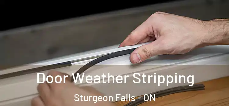 Door Weather Stripping Sturgeon Falls - ON