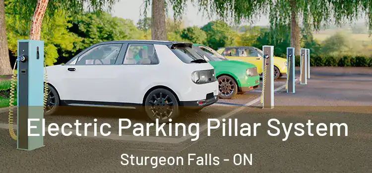 Electric Parking Pillar System Sturgeon Falls - ON
