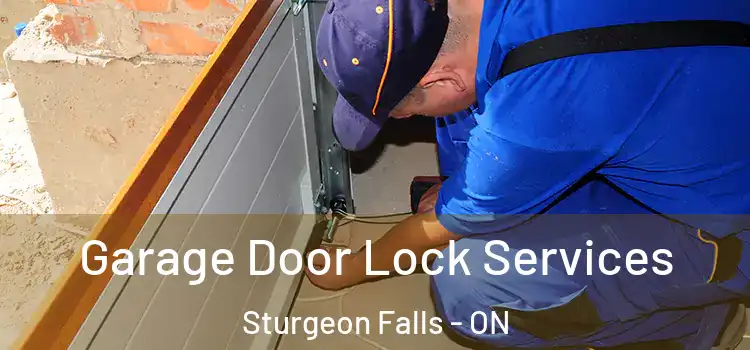 Garage Door Lock Services Sturgeon Falls - ON