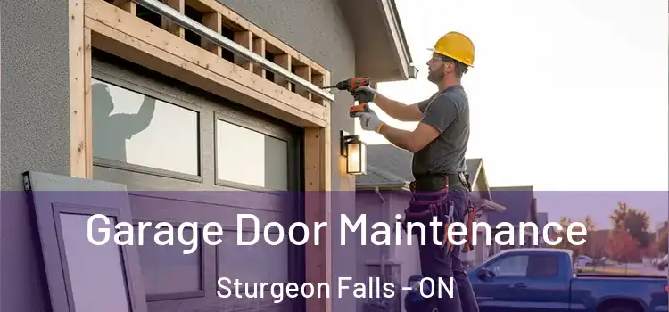 Garage Door Maintenance Sturgeon Falls - ON
