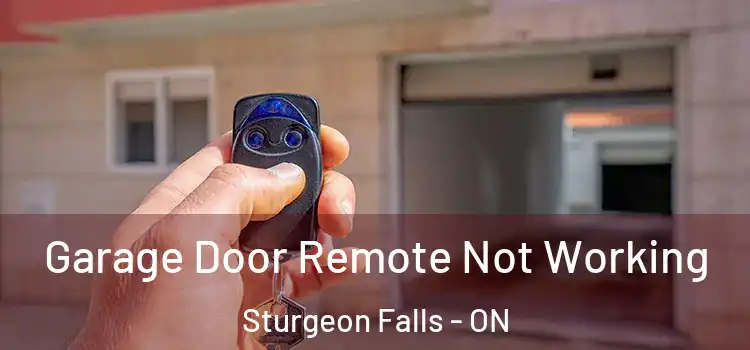  Garage Door Remote Not Working Sturgeon Falls - ON