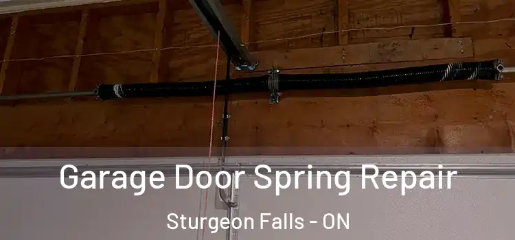  Garage Door Spring Repair Sturgeon Falls - ON