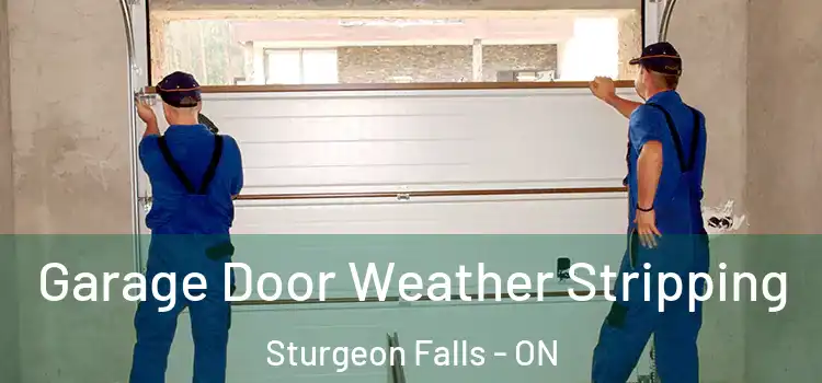  Garage Door Weather Stripping Sturgeon Falls - ON