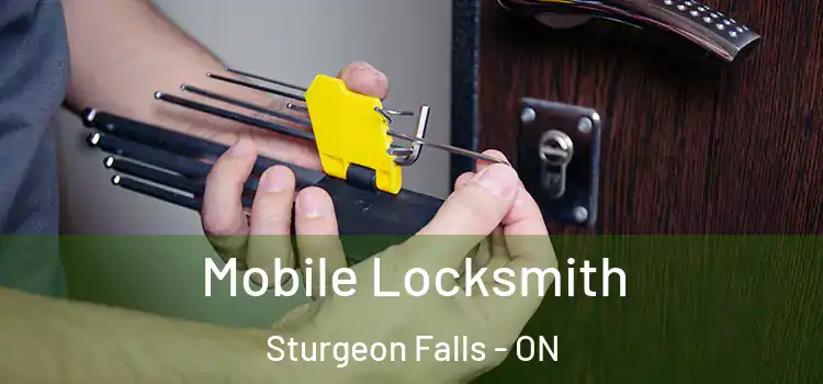  Mobile Locksmith Sturgeon Falls - ON